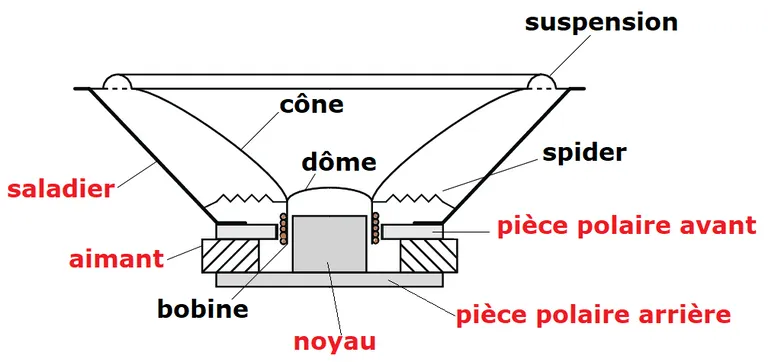 coupe d'un haut-parleur suspension, cône, spider,saladier, aimant, bobine, noyau, pièces polaire avant, pièce polaire arrière, dôme cache noyau