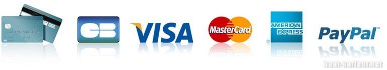 Cartes acceptées: MasterCard, Visa, Carte Bancaire Nationale, Aurore, Carte VPay, Cofinoga / Privilège, Cofidis 4 étoiles, American Express, Discover, Maestro