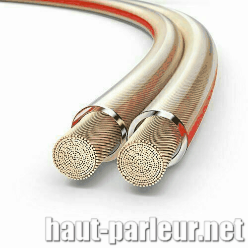 Nedis Câble Haut-Parleur 2 x 2.5 mm² - 25 mètres - Câble d