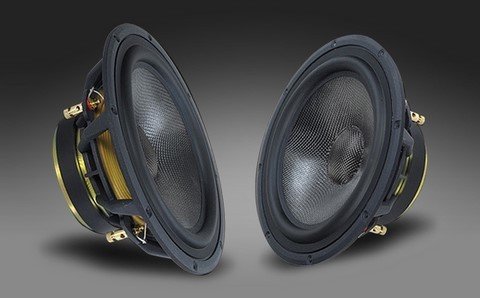 DAVIS Acoustic 25GC10R rénovation des suspensions