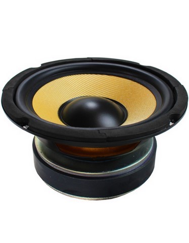 subwoofer 16,5 cm membrane en kevlar 125W