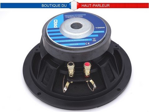 haut-parleur 21cm 100 watts 8 ohms châssis aluminium moulé utilisation hi-fi ou sono