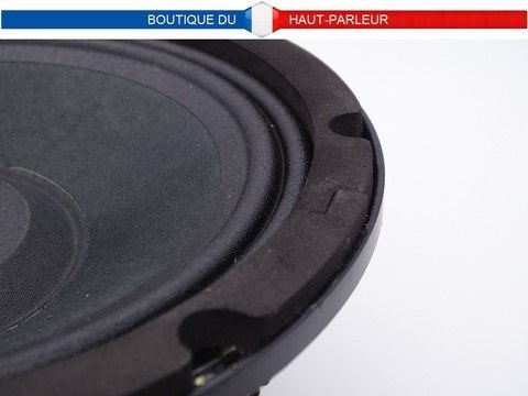 haut-parleur 21cm 100 watts 8 ohms châssis aluminium moulé utilisation hi-fi ou sono