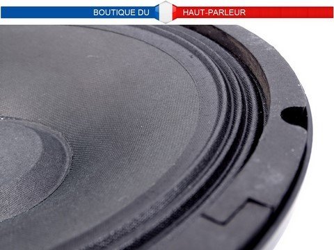 Haut-parleur basse professionnel 26 cm 150 watts 8 ohms
