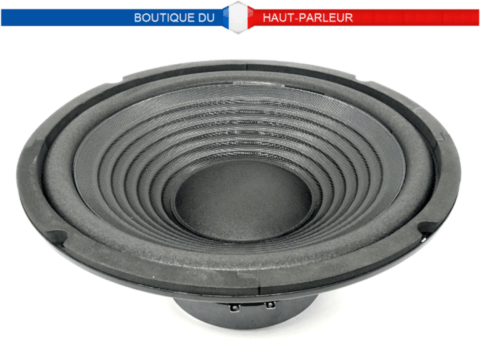 Haut-parleur grave medium 25,4cm 100/200W 8ohms