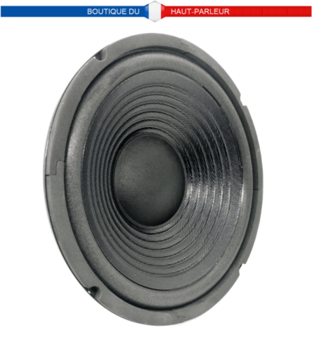 Haut-parleur grave medium 25,4cm 100/200W 8ohms
