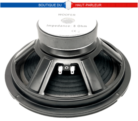 Haut-parleur grave medium 25,4cm 100/200W 8ohms 