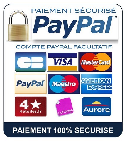 PayPal est un service permettant de payer et de recevoir de l’argent sans fournir ses coordonnées bancaires sur Internet.