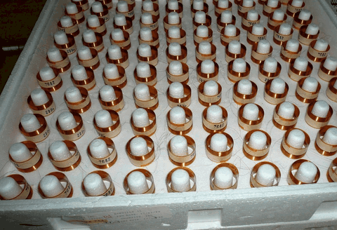 Bobine mobile 25,4 x 18 mm