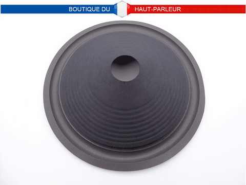 Membrane haut-parleur diamètre 25 cm pour bobine de 36 mm suspension mousse cone 25-36 M