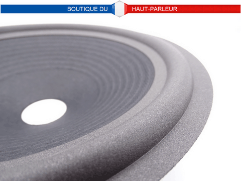 Membrane haut-parleur diamètre 25 cm pour bobine de 36 mm suspension mousse cone 25-36 M
