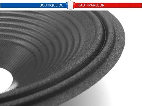 Membrane haut-parleur diamètre 29.6 cm pour bobine de 65 mm suspension tissus